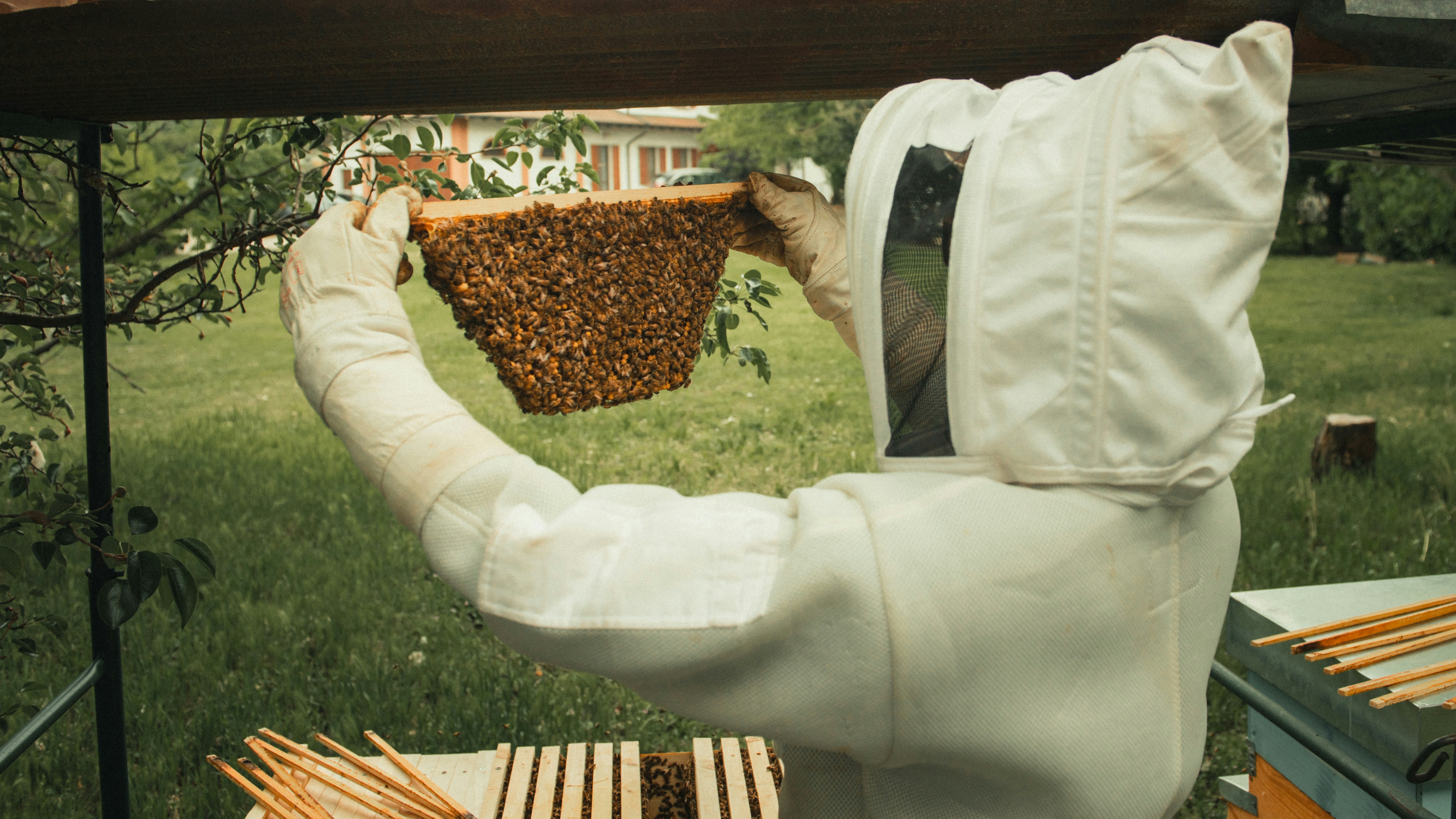Organic ME Beehives